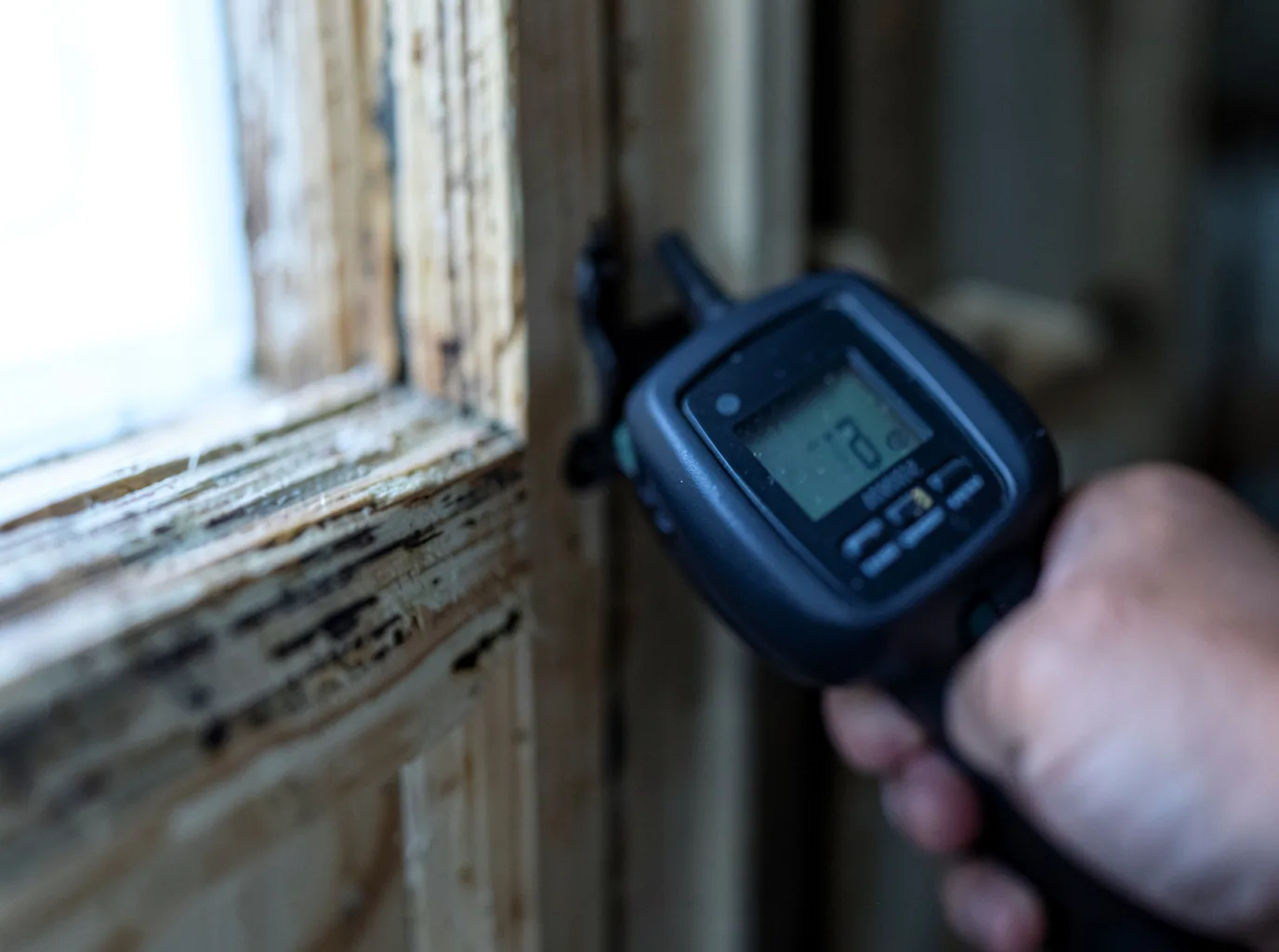 Moisture Inspection And Documentation in Cooper, TX